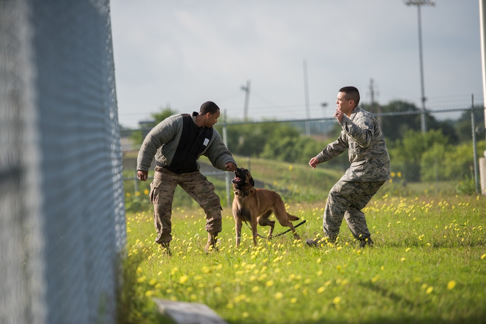 Peace Officers Memorial Day K9 Competition