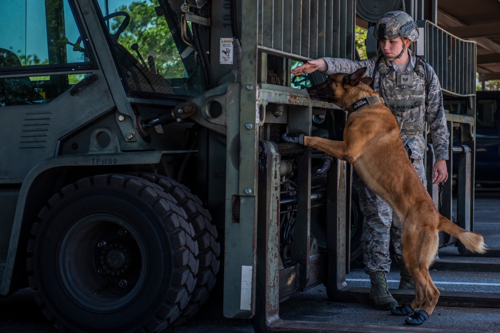 National Military Appreciation Month 2019: Thank you for your support