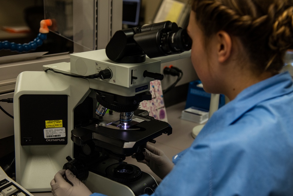 National Military Appreciation Month 2019: Thank you for your support