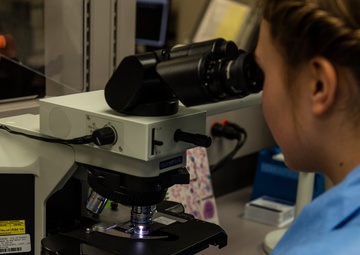 National Military Appreciation Month 2019: Thank you for your support