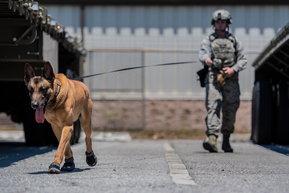 National Military Appreciation Month 2019: Thank you for your support