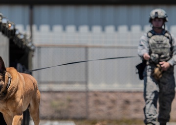 National Military Appreciation Month 2019: Thank you for your support