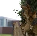 Tornado Causes Damage at Wright-Patterson AFB