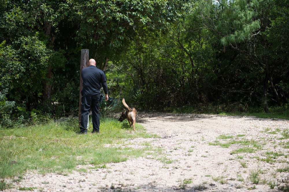 Peace Officers Memorial Day K9 Competition