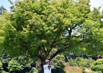VFW remembers fallen at Yokohama War Cemetery