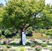 VFW remembers fallen at Yokohama War Cemetery