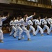 Osan hosts Taekwondo exhibition