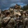 Lightning Support deploys vehicles for Lightning Forge 19