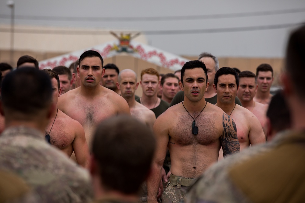 New Zealand Defense Force Haka