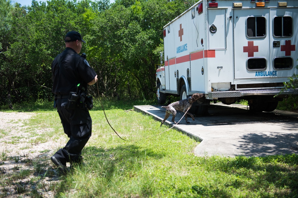 Peace Officers Memorial Day K9 Competition