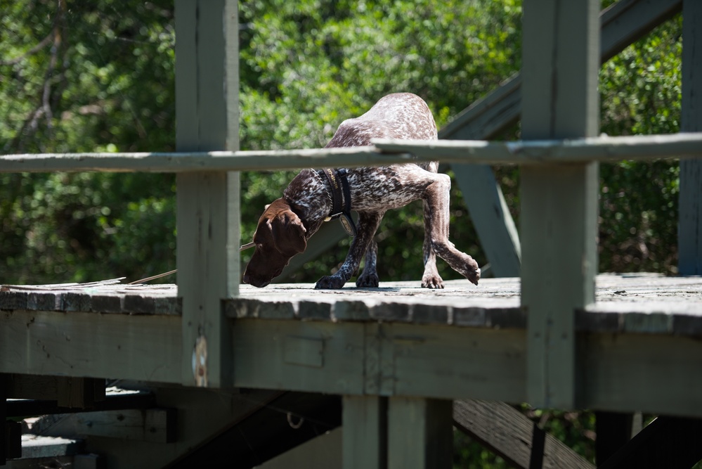 Peace Officers Memorial Day K9 Competition