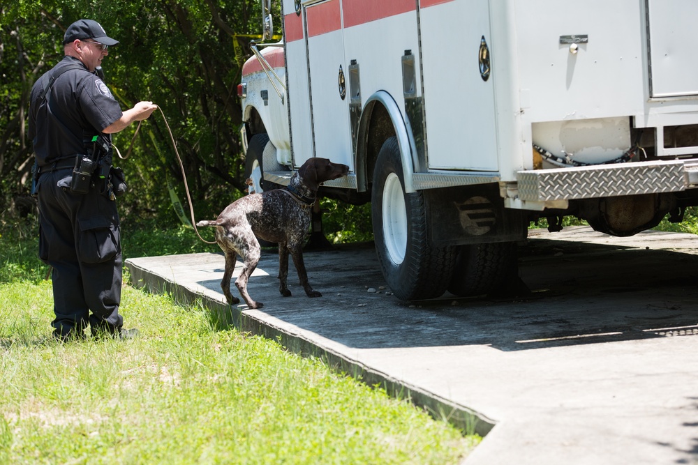 Peace Officers Memorial Day K9 Competition