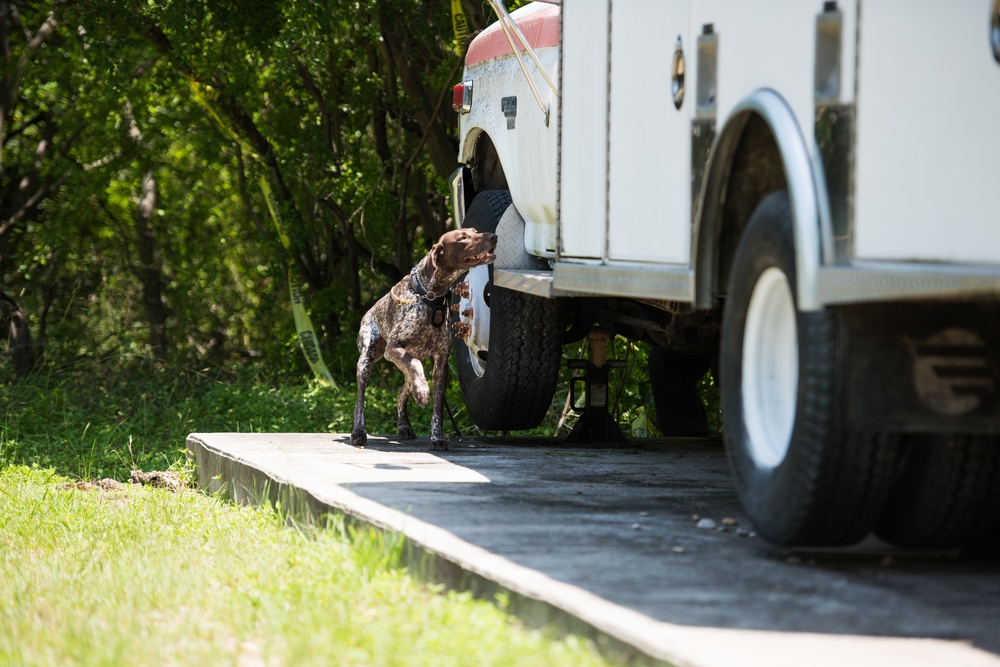 Peace Officers Memorial Day K9 Competition