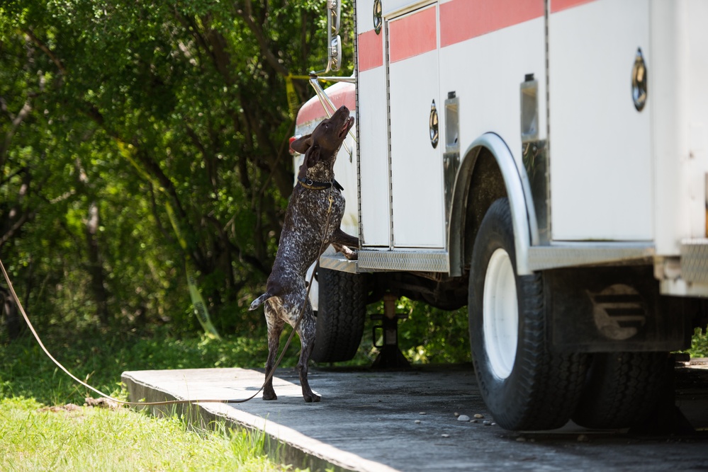 Peace Officers Memorial Day K9 Competition