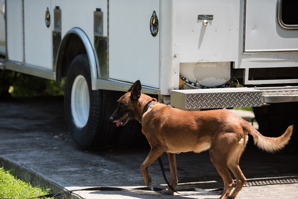 Peace Officers Memorial Day K9 Competition