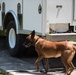 Peace Officers Memorial Day K9 Competition