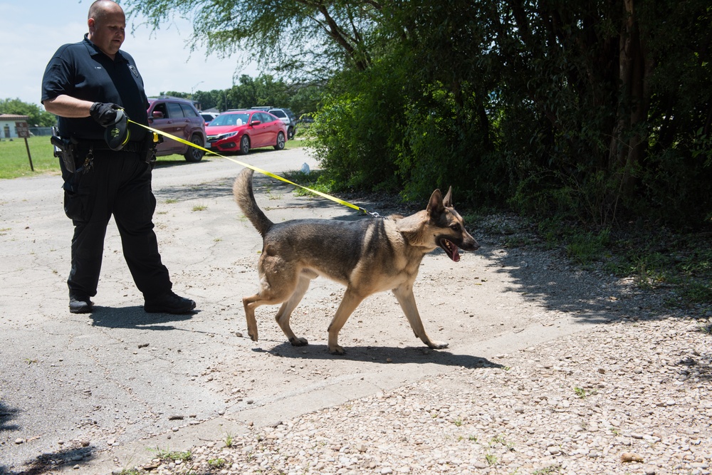 Peace Officers Memorial Day K9 Competition