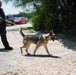 Peace Officers Memorial Day K9 Competition