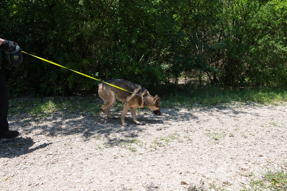 Peace Officers Memorial Day K9 Competition