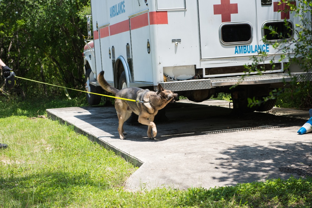 Peace Officers Memorial Day K9 Competition