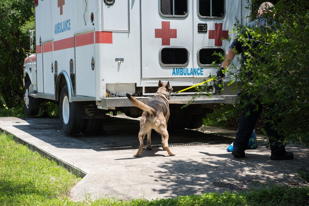 Peace Officers Memorial Day K9 Competition