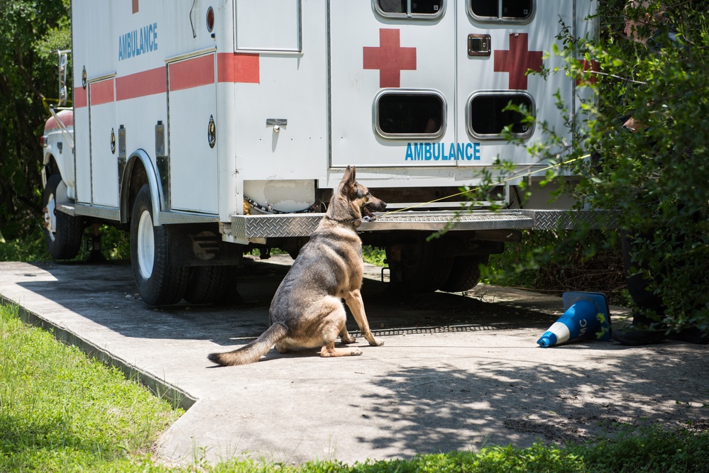 Peace Officers Memorial Day K9 Competition