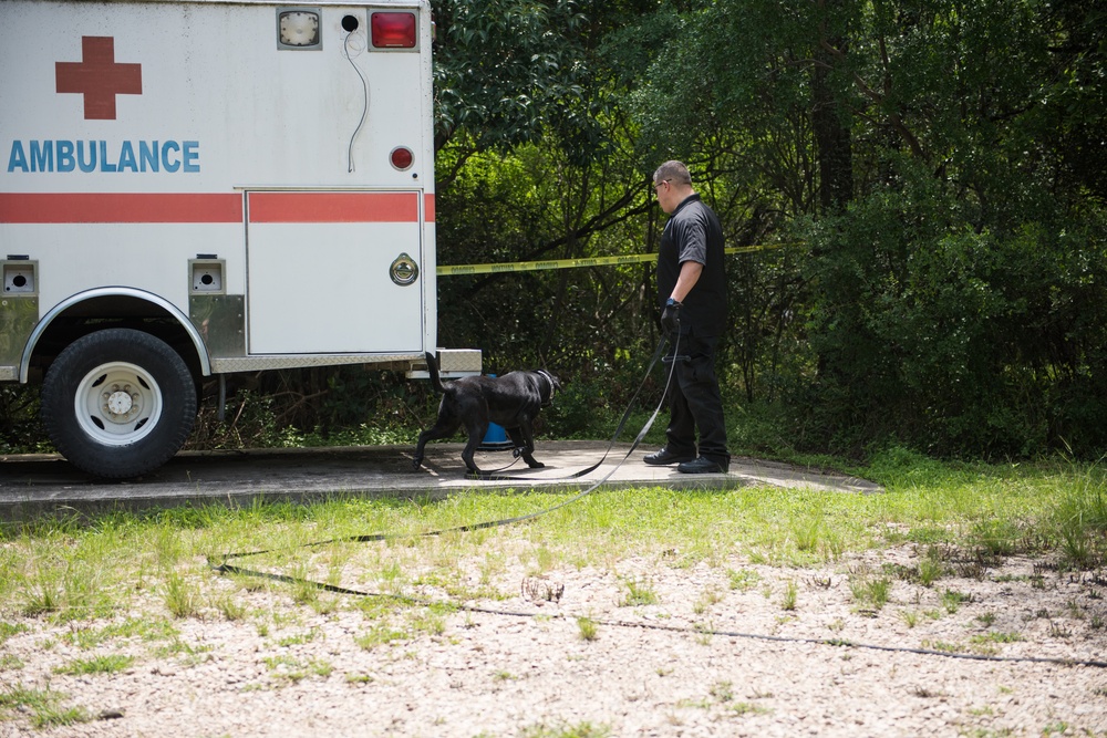 Peace Officers Memorial Day K9 Competition