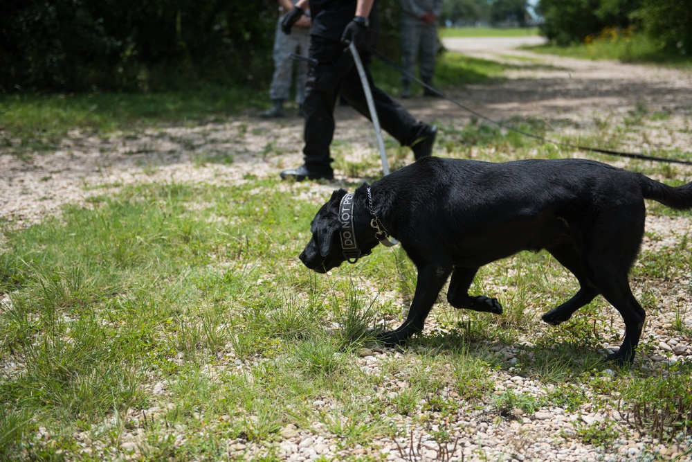 Peace Officers Memorial Day K9 Competition