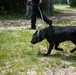 Peace Officers Memorial Day K9 Competition