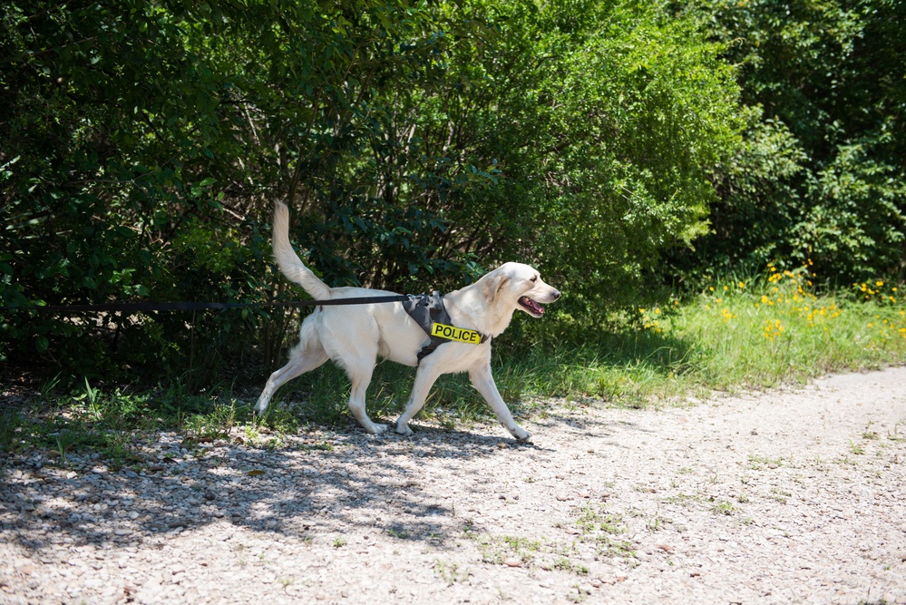 Peace Officers Memorial Day K9 Competition