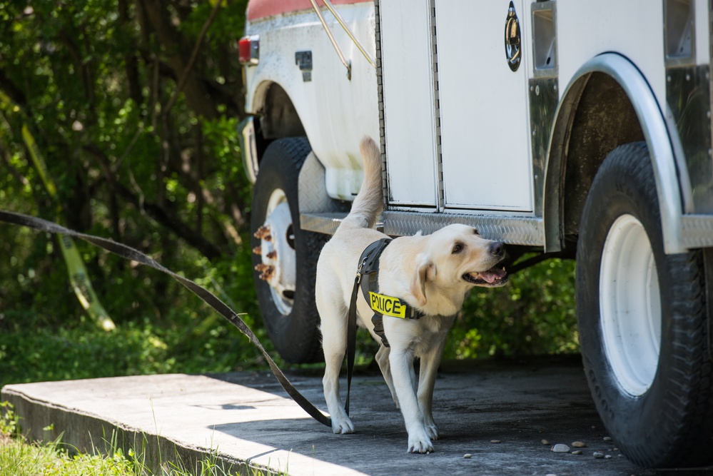 Peace Officers Memorial Day K9 Competition