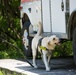 Peace Officers Memorial Day K9 Competition