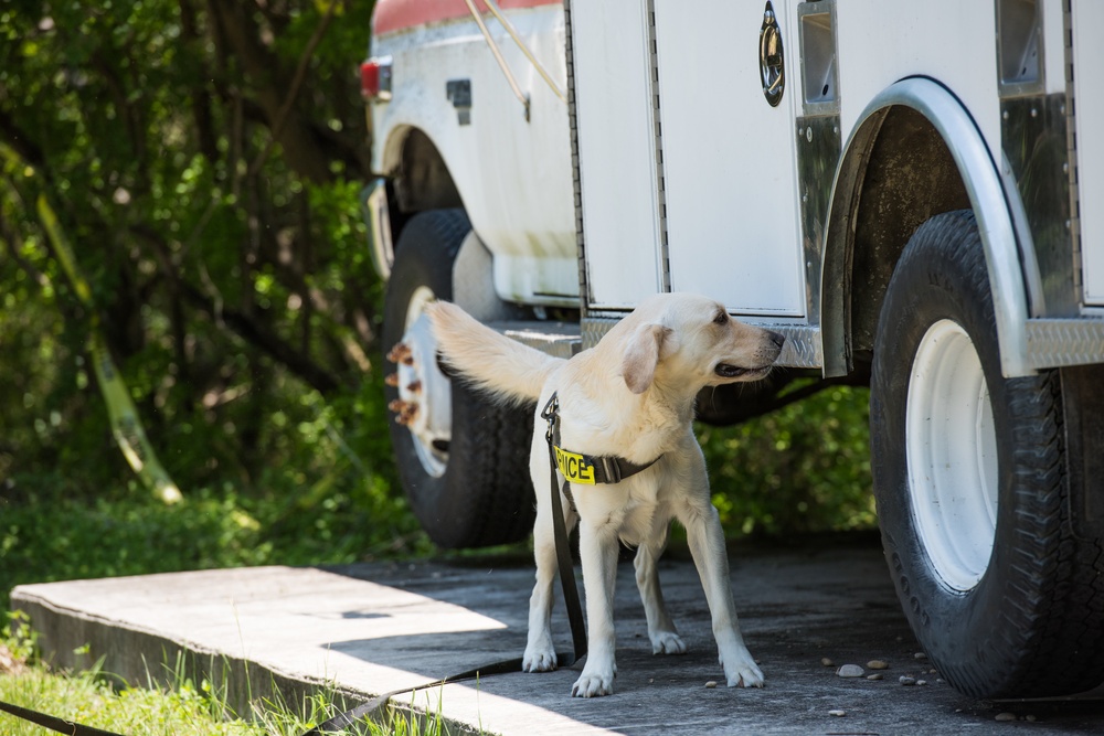 Peace Officers Memorial Day K9 Competition