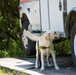 Peace Officers Memorial Day K9 Competition