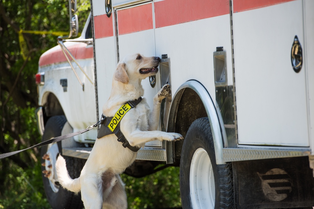 Peace Officers Memorial Day K9 Competition