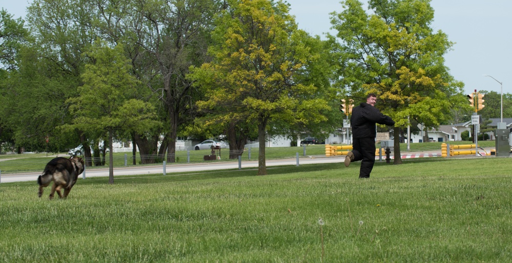 The 509th SFS conducts National Police Week demonstrations