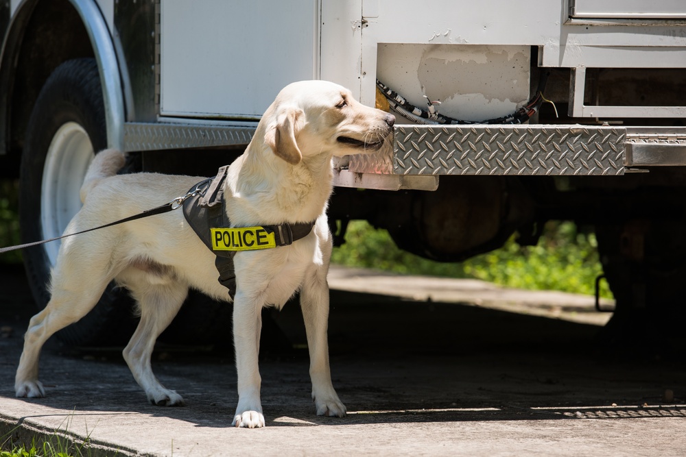 Peace Officers Memorial Day K9 Competition