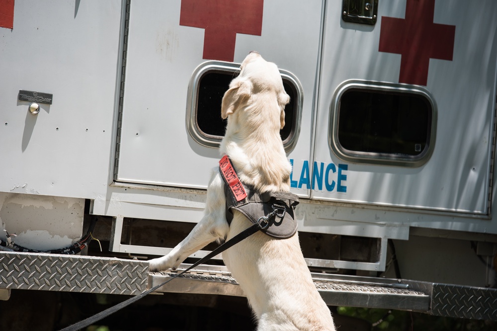 Peace Officers Memorial Day K9 Competition