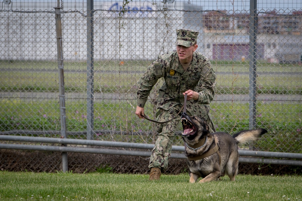 Military Working Dogs Training