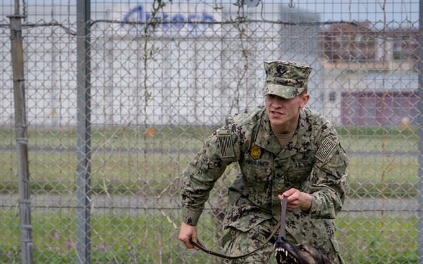 Military Working Dogs Training