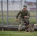 Military Working Dogs Training