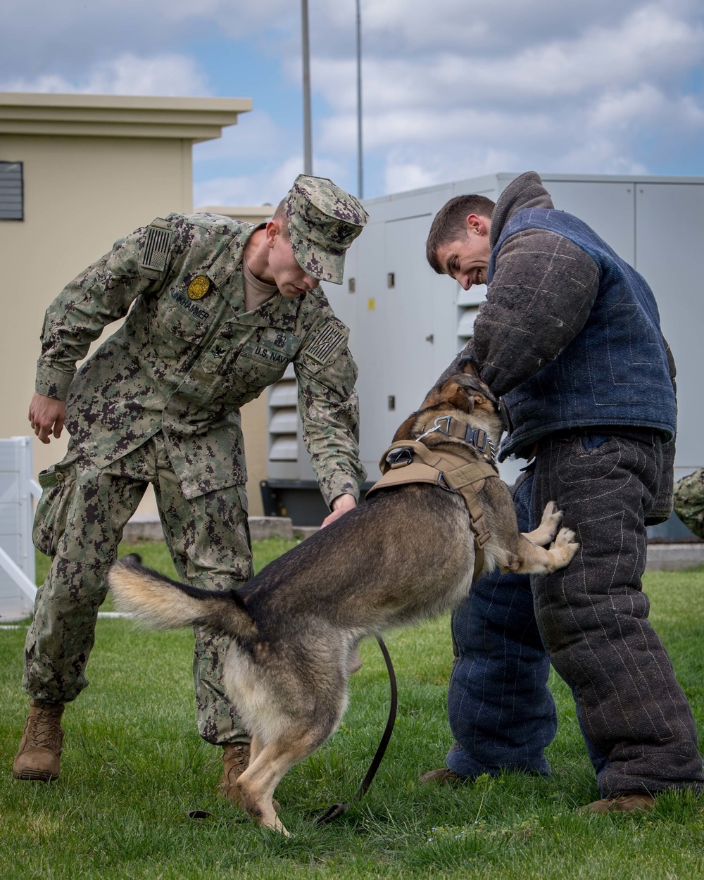 Military Working Dogs Training