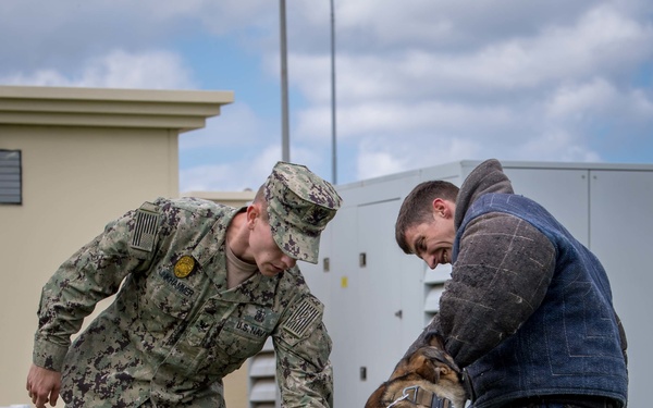 Military Working Dogs Training