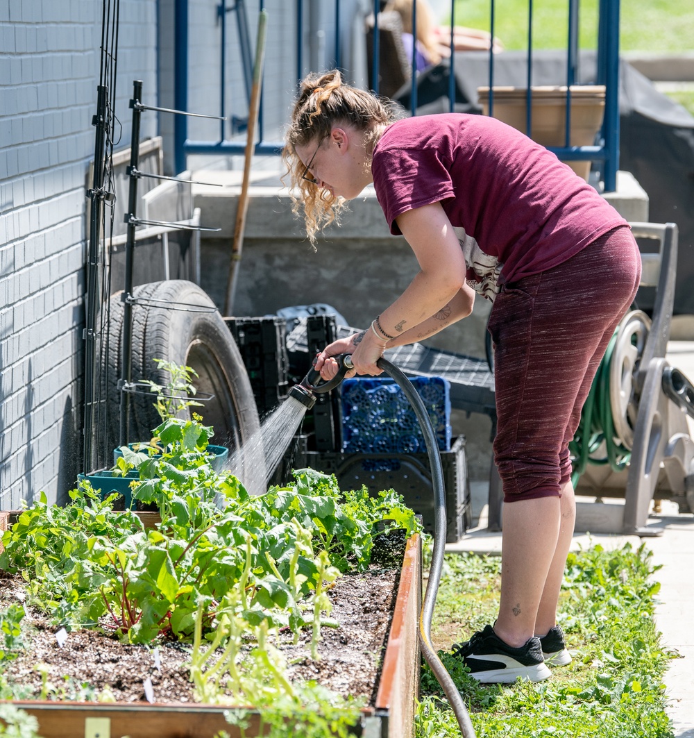 Growing people: Patriot Guardens uses agriculture training to expand opportunities for recovering West Virginians
