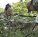 Japan-based Sailors Clean-up Yokohama Foreign Cemetery