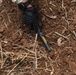 Investigation in Quang Binh