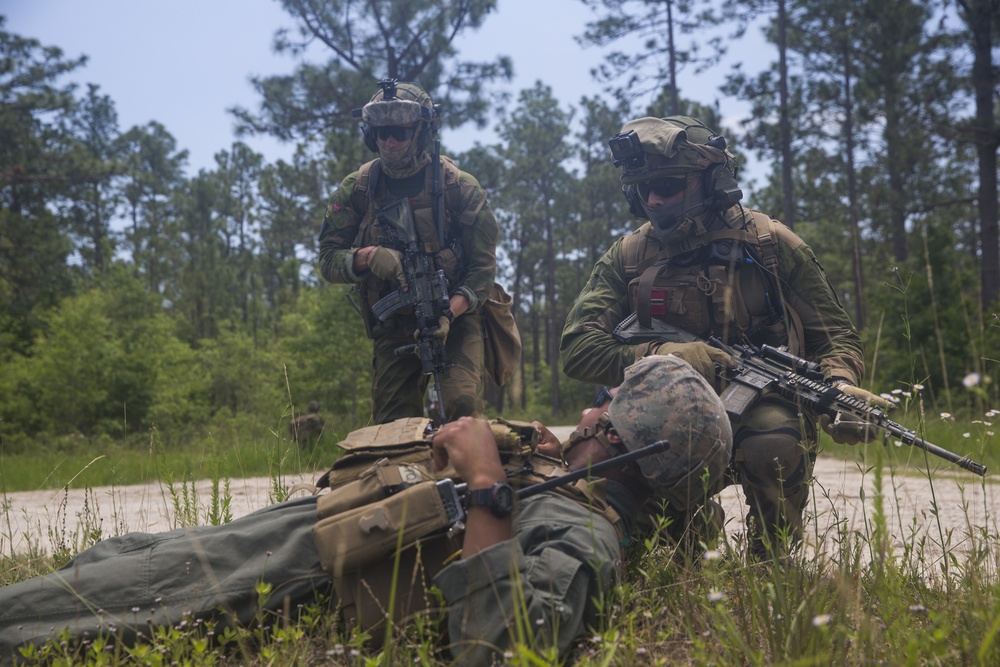 U.S. Marines and NATO allies conduct tactical recovery of aircraft personnel