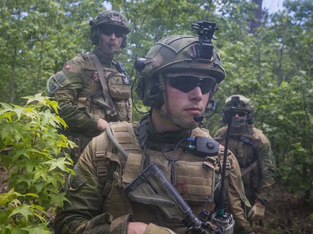 DVIDS - Images - U.S. Marines and NATO allies conduct tactical recovery ...