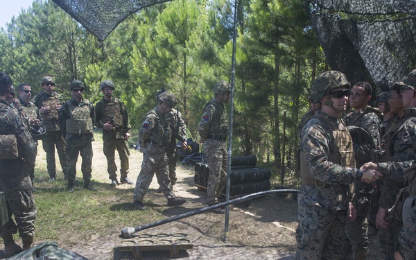 U.S. Marines and NATO allies conduct tactical recovery of aircraft personnel