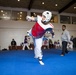 Maj Redmonsteed Taekwondo Training